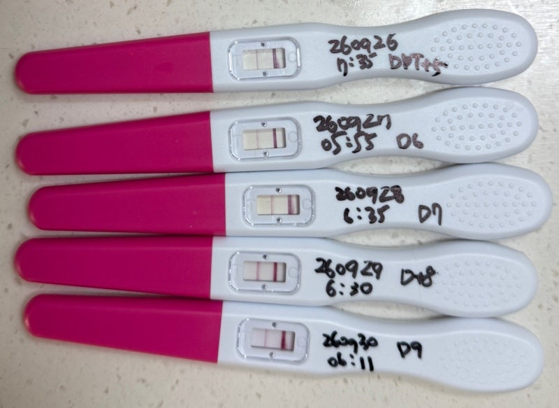 [시험관 1차 29편] 동결배아 2차 이식 후 1차 피검사 결과 89.2, 또 화학적 유산?