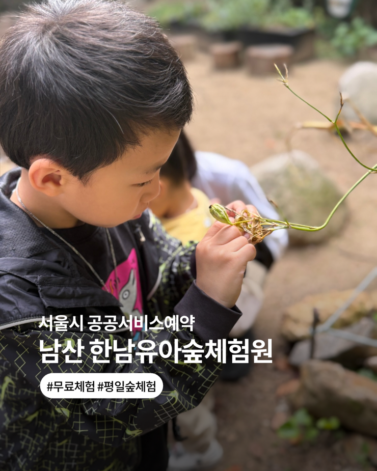 서울시 공공서비스 예약 :: 남산 한남유아숲 체험원 무료수업 후기