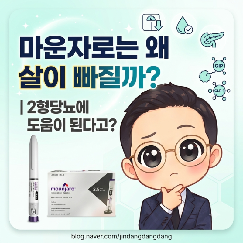 마운자로는 왜 살이 빠질까?｜2형당뇨에 도움이 된다고?
