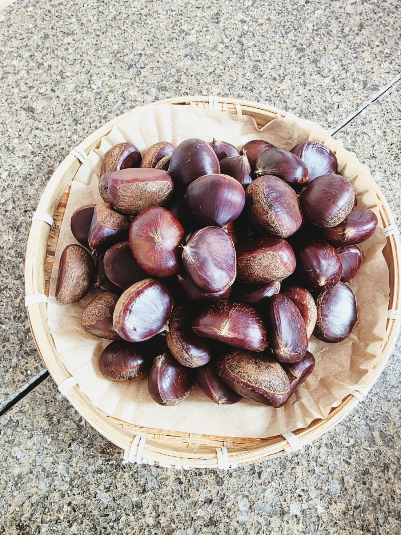 공주 알밤 삶는법 껍질 쏙 벗겨지게 삶는시간 꿀팁