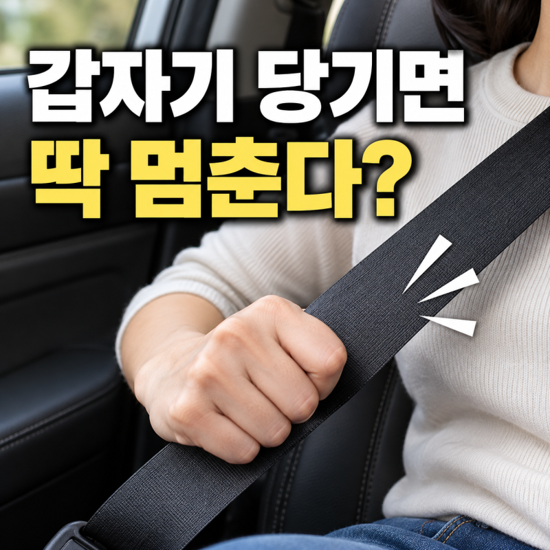 안전벨트는 왜 확 당기면 잠길까? 잠금 원리와 경고음·카시트의 비밀