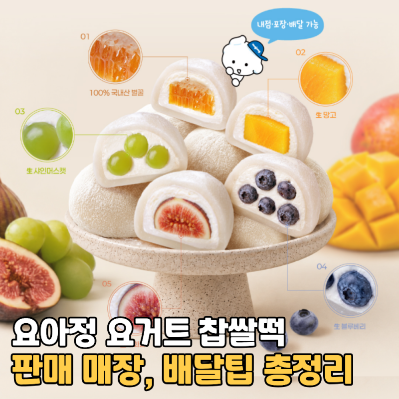 요아정 생과일 요거트 찹쌀떡 종류 가격 파는곳 매장 배달 꿀팁