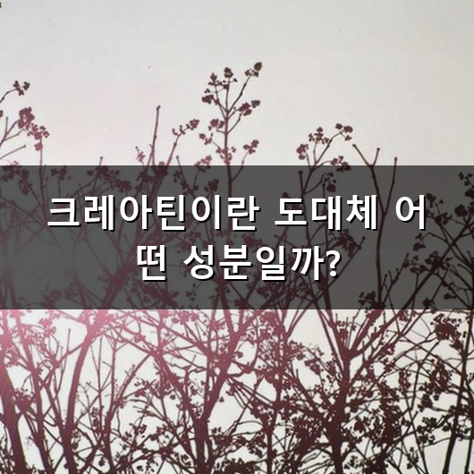 운동 좀 한다는 사람들이나 헬스장 단골들이 요즘 가장 많이 챙겨 먹는 영양제가 뭔지