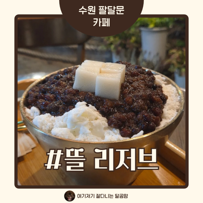 애견동반 가능한 수원 화성행궁 식물원 대형카페 뜰 리저브