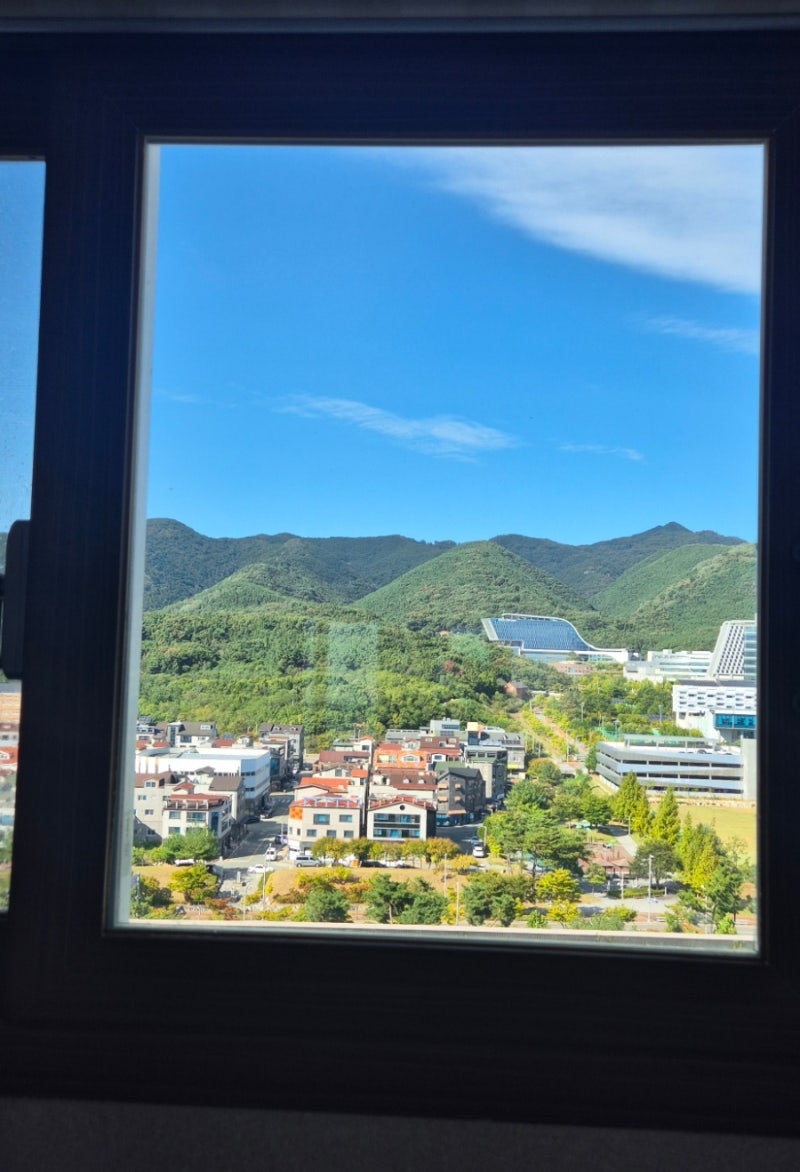아파트 유리창 청소 후기, 뿌연 창문 투명하게 유리창 청소로 인테리어 효과?유리창 청소 업....