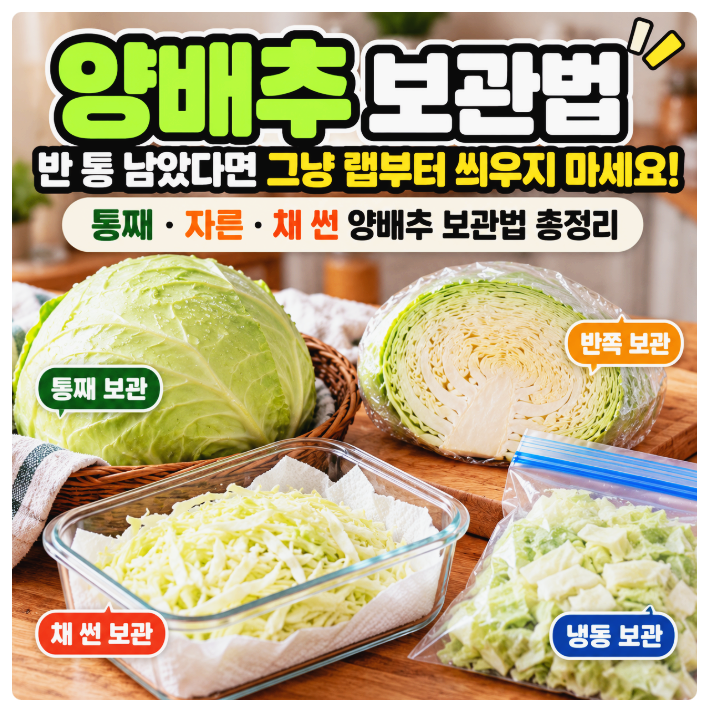 양배추 보관법, 반 통 남았다면 그냥 랩부터 씌우지 마세요! 통째·자른·채 썬 양배추 보관법