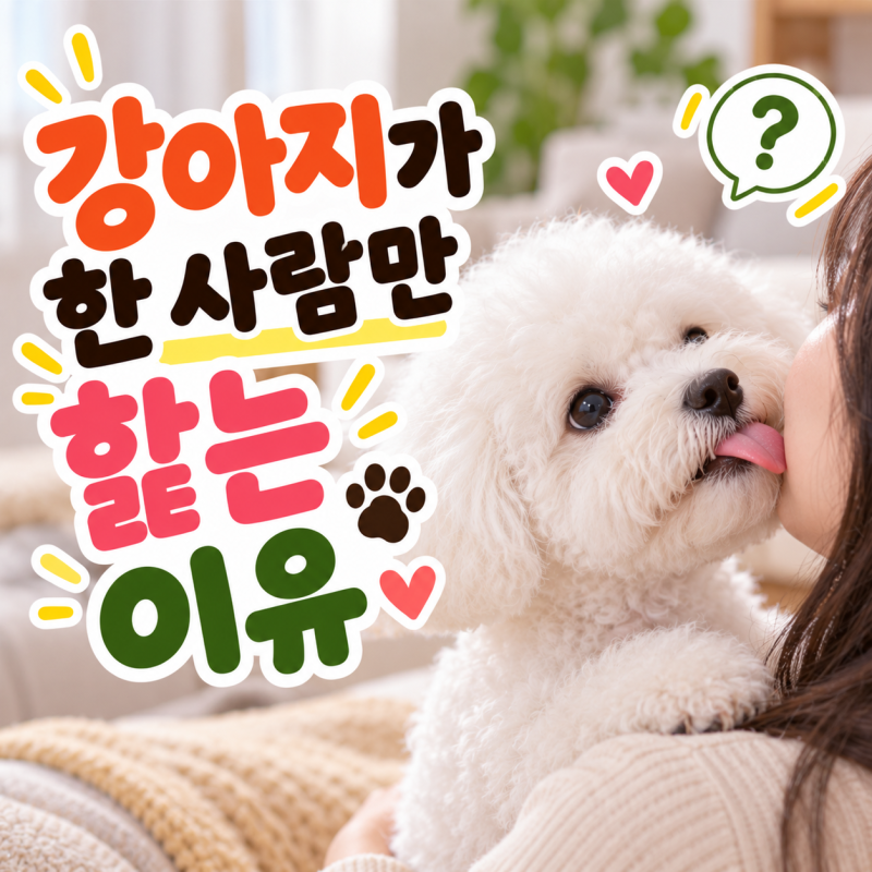 가족은 많은데 왜 나만 핥을까? 강아지가 유독 한 사람에게만 집중하는 이유