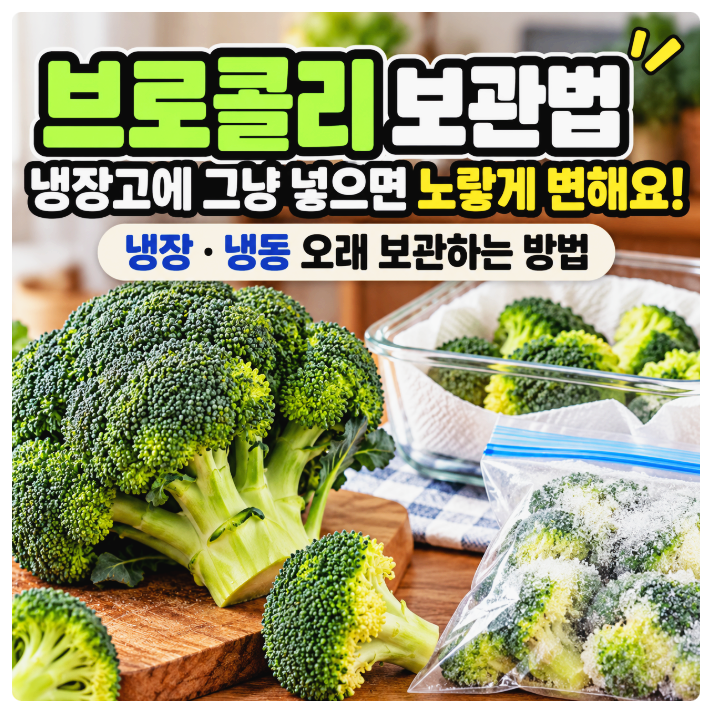 브로콜리 보관법, 냉장고에 그냥 넣으면 노랗게 변해요! 냉장·냉동 오래 보관하는 방법