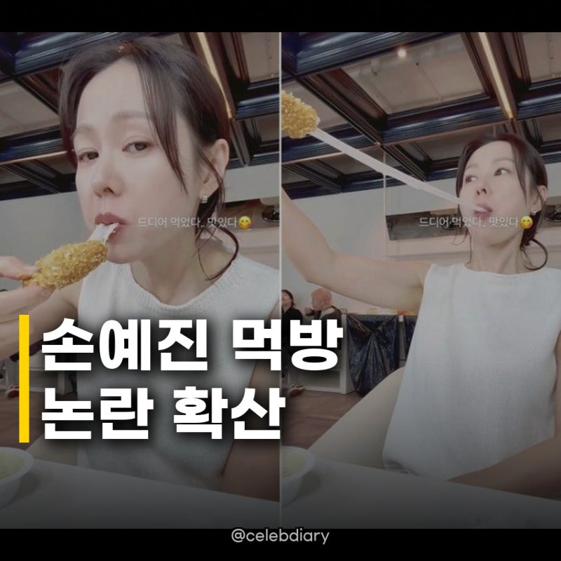 손예진 먹방, 일 식사 예절 논쟁 털털함 vs 예절, 네티즌 갑론을박 후끈