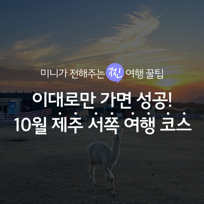 제주 한 달 살기ㅣ실패할 일 없는 10월 제주 서쪽 여행 코스 추천