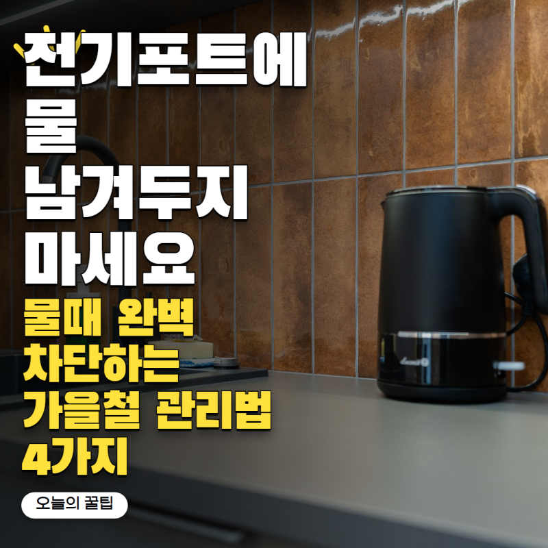 '전기포트에 물 계속 남겨두면 안 됩니다' 가을철 물때 줄이는 관리법 4가지