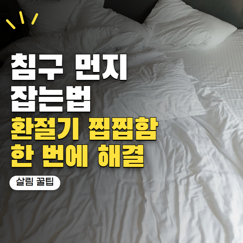 '환절기 침구 그대로 덮었다가 찝찝해졌습니다' 먼지 줄이는 관리법 4가지