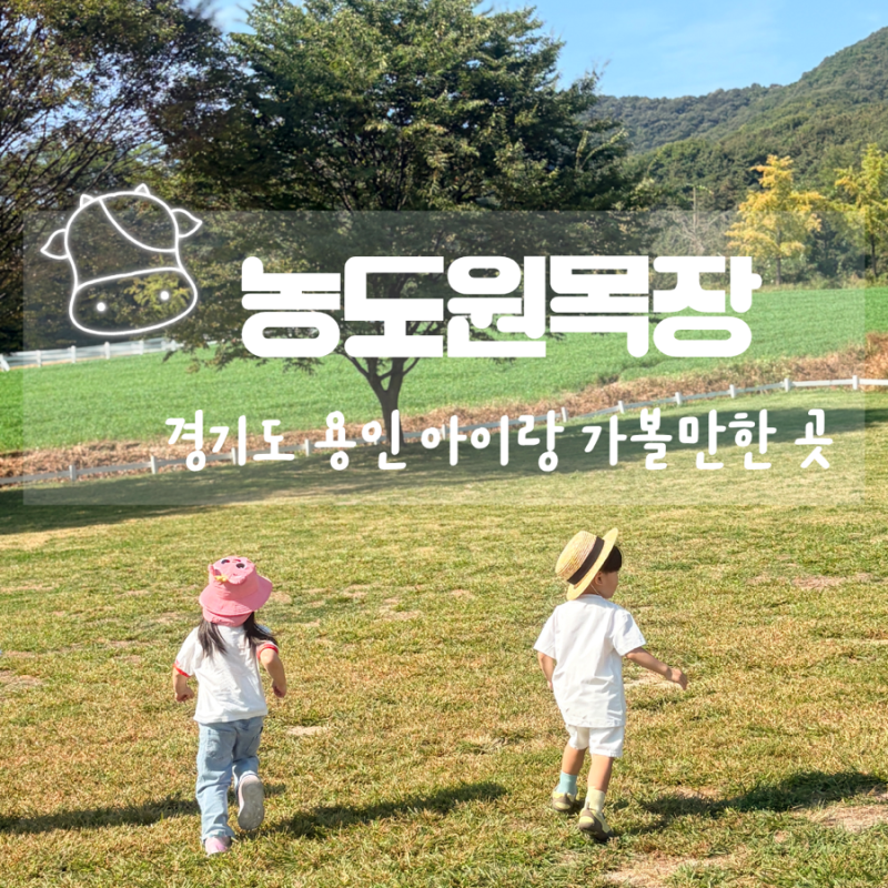 용인 농도원목장 아기랑 방문, 준비물, 정보 공유 및 자세한 체험 후기