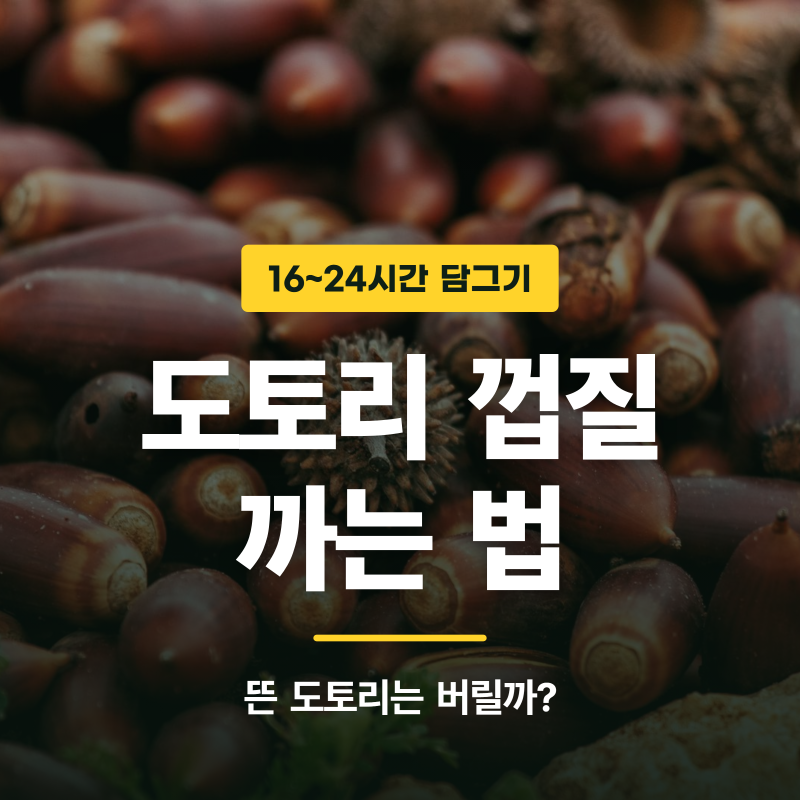 도토리 껍질 까는 법, 먼저 물에 띄워 거르기