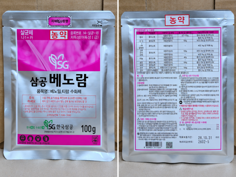 마늘 심기 전 꼭 해야 할 준비｜종자소독이 필요한 이유와 방법