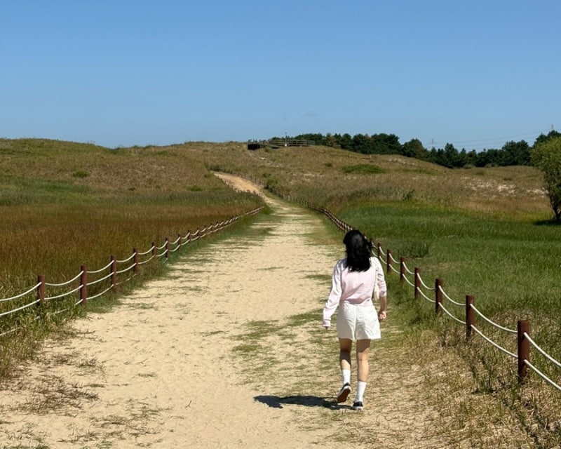 Taean Sinduri Coastal Dune: Review of a Walk Along the Sunbigi Hill Course