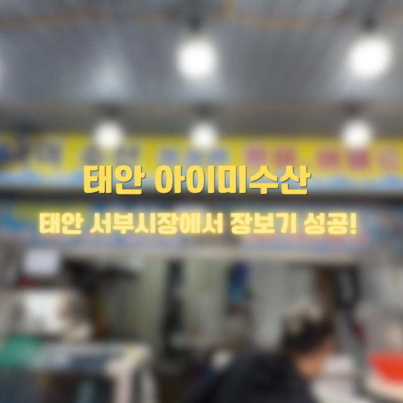 태안 서부시장 수산물 장보기｜아이미수산 모듬조개 1kg·새우 500g 구매 후기