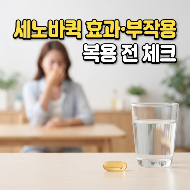 세노바퀵 효과 및 부작용 세티리진 복용 주의사항