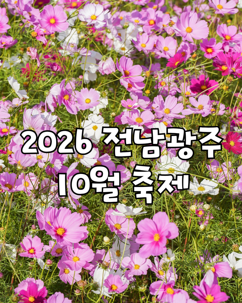 2026 전남 광주 10월 축제 여행지