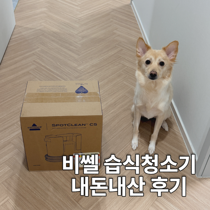 비쎌 습식청소기 C5 사용법 내돈내산 후기 소파 강아지 오줌 닦는법