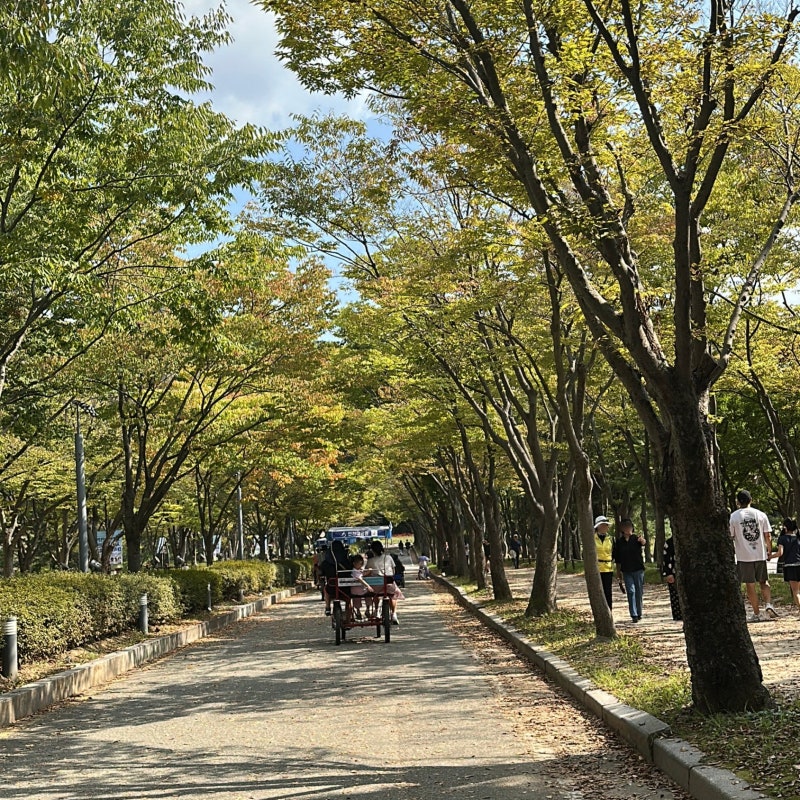 인천대공원 주차 놀거리 카페 아기랑 인천 피크닉 추천 주말 나들이 아이와 가볼만한곳