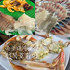 속초 대포항 횟집 속초대게맛집 - 회, 해산물, 대게, 대게라면까지 아주 푸짐한 가성비 대게 ....
