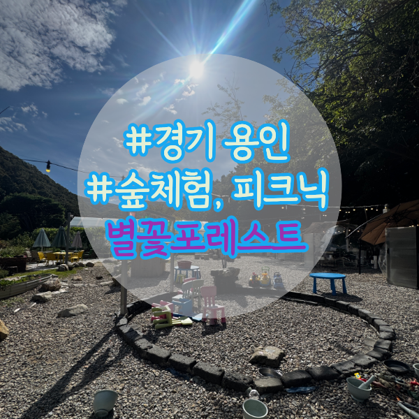용인 별꽃포레스트 가을 숲체험과 피크닉, 아이들이 좋아하는 이유