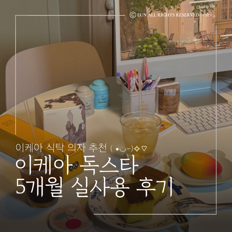 이케아 독스타 원형테이블 신혼부부 식탁 의자 추천