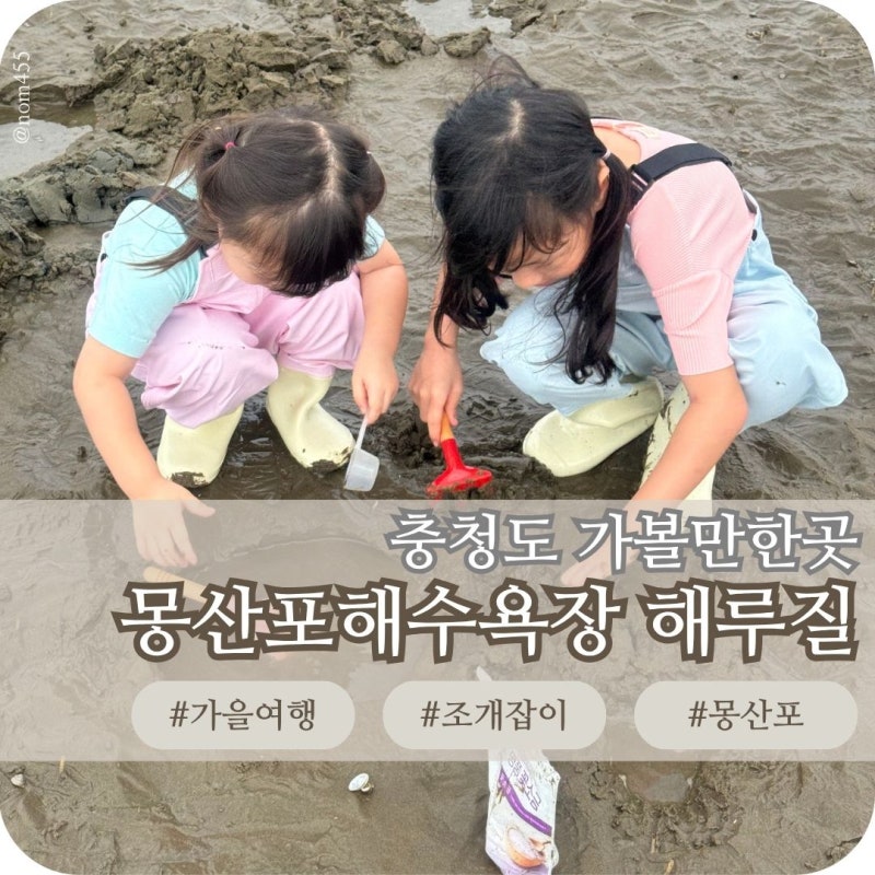 몽산포 해수욕장 해루질 10월 조개잡이 주차 물때 꿀팁