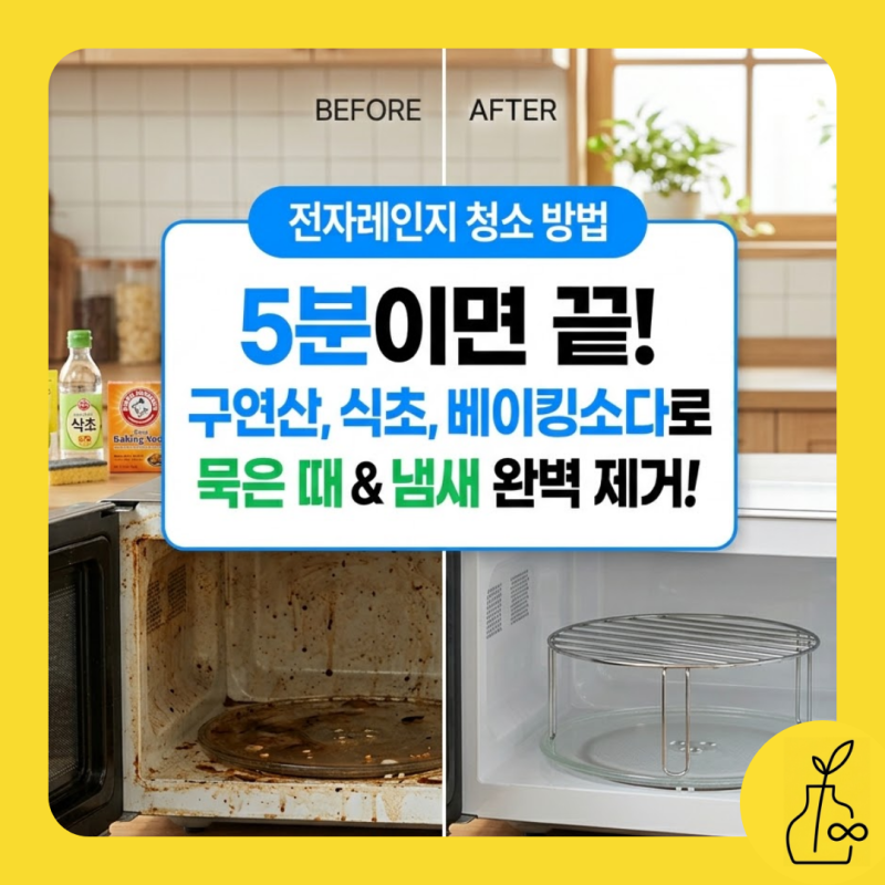 전자레인지 청소 방법 5 분 완성! 구연산·식초·베이킹소다로 찌든때·냄새 싹 제거