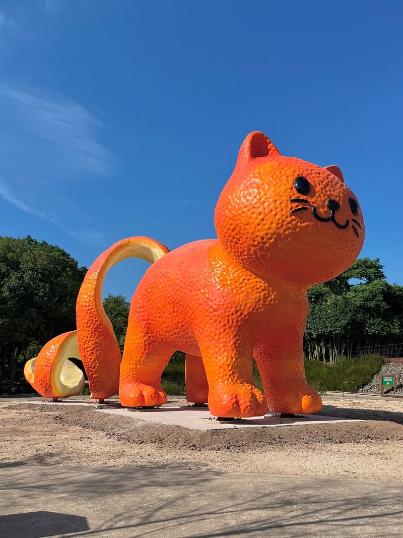 돌코리숲 | 제주 서귀포 아이랑 가볼 만한 곳 고양이 테마파크