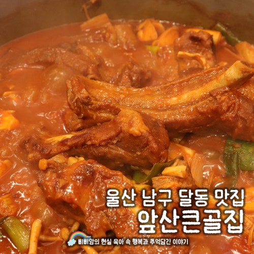 울산 남구 달동 맛집 매운 등갈비찜 찐맛집 앞산큰골집 울산 달동점 방문후기