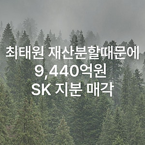 최태원, SK 지분 판다…9440억 마련 나선 이유 (9440억 어디에 쓰이나, 지분율 얼마나 줄까, 경영....