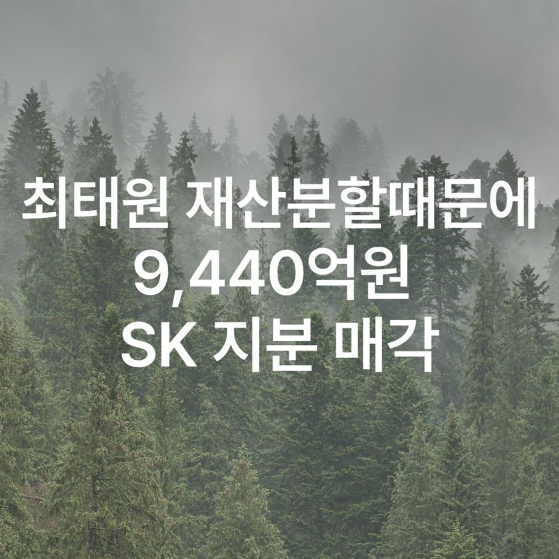 최태원, SK 지분 판다…9440억 마련 나선 이유 (9440억 어디에 쓰이나, 지분율 얼마나 줄까, 경영....