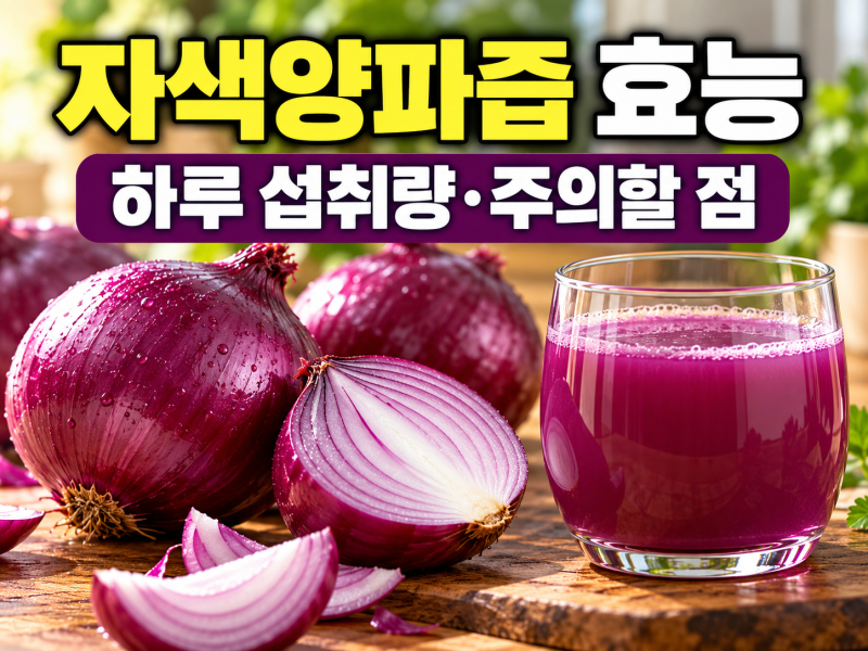 자색 양파즙 효능 3가지, 하루 섭취량과 먹는 법 주의사항