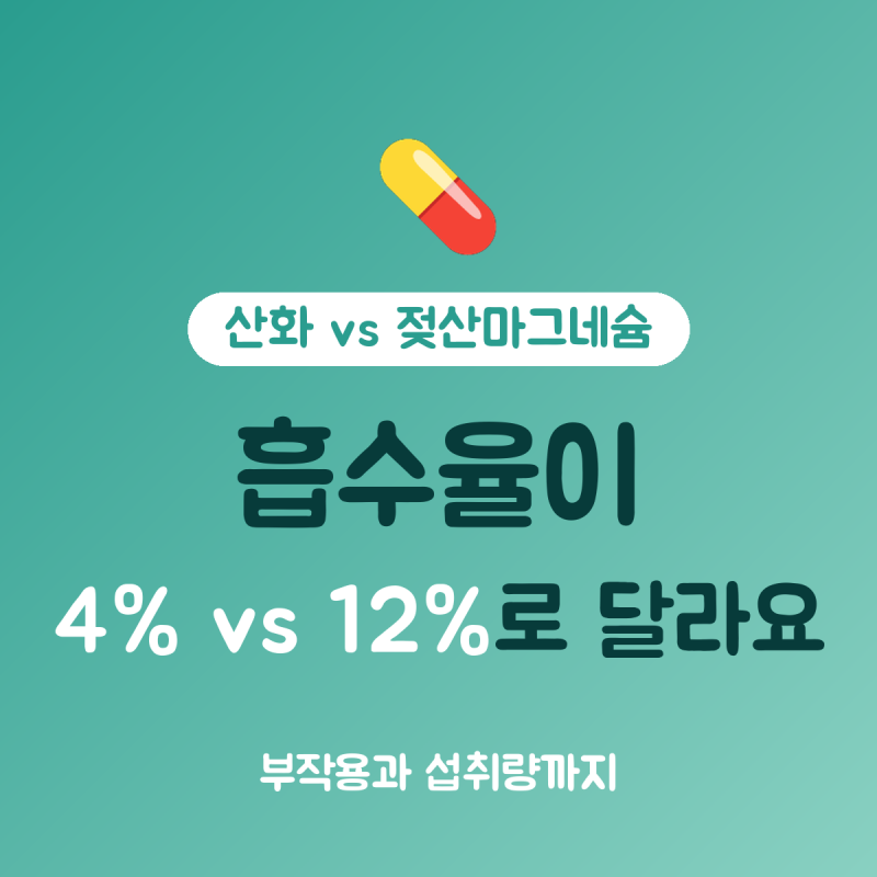 마그네슘 효능 산화마그네슘 vs 젖산마그네슘, 흡수율 4%와 12% 차이