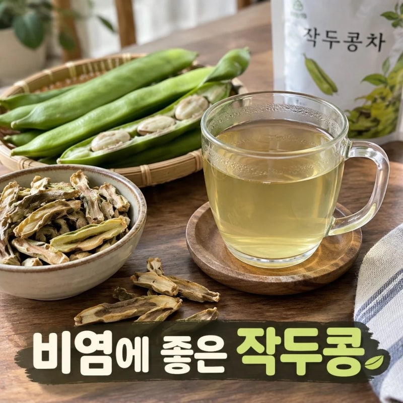 [작두콩 효능] 비염에 좋은 음식 왜 작두콩일까? 영양성분. 섭취요령. 부작용 총정리