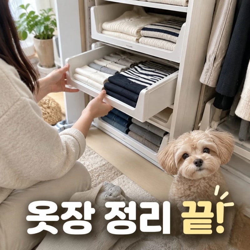 슬라이딩 적층형 옷정리함 옷정리트레이 낮은형 옷장 드레스룸 정리함 리빙박스
