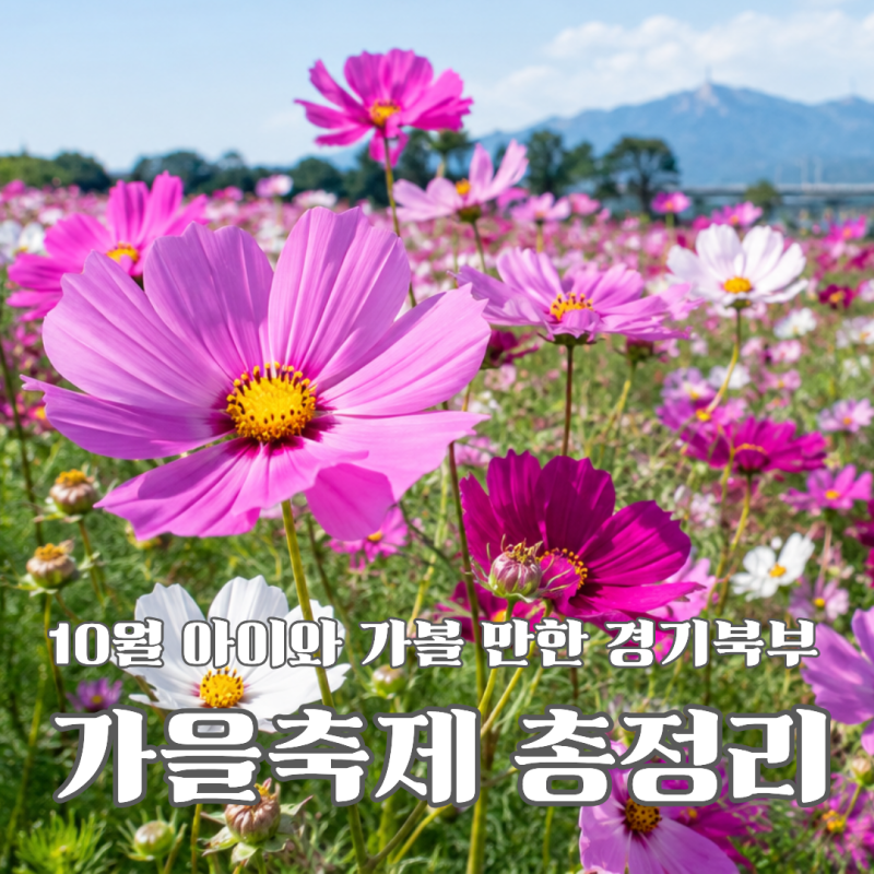 10월 아이와 가볼 만한 경기북부 가을축제 총정리 / 구리 · 고양 · 연천 · 포천 · 파주