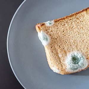 식빵 곰팡이, 떼고 먹어도 될까? 통째로 버려야하는 이유