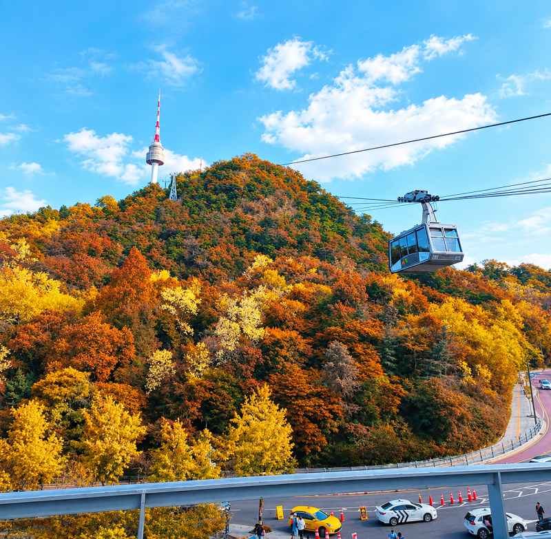 Seoul Namsan Cable Car: Prices, Boarding Location, Parking, N Seoul Tower Admission, and Observatory