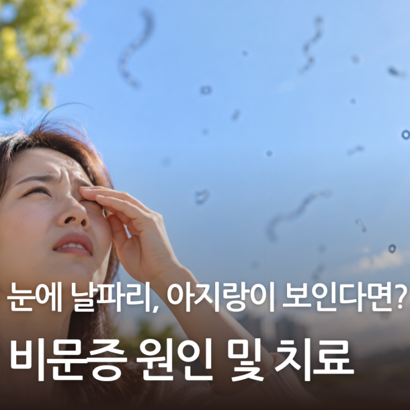 비문증 치료,원인 눈에 아지랑이 눈에 날파리가 보이는 이유