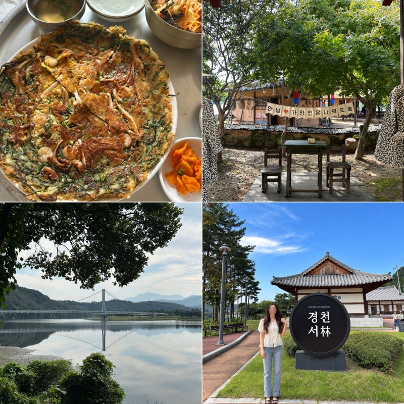 Weekend Drive Near Daegu: Sangju Jumak, Pet-Friendly Gyeongcheonseom Cafe, Gyeongcheonseorim