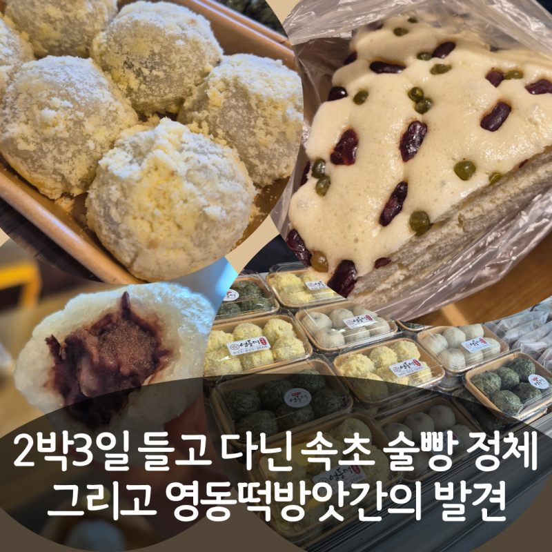 2박3일 내내 들고 다닌 속초 술빵의 정체 그리고 영동떡방앗간의 발견