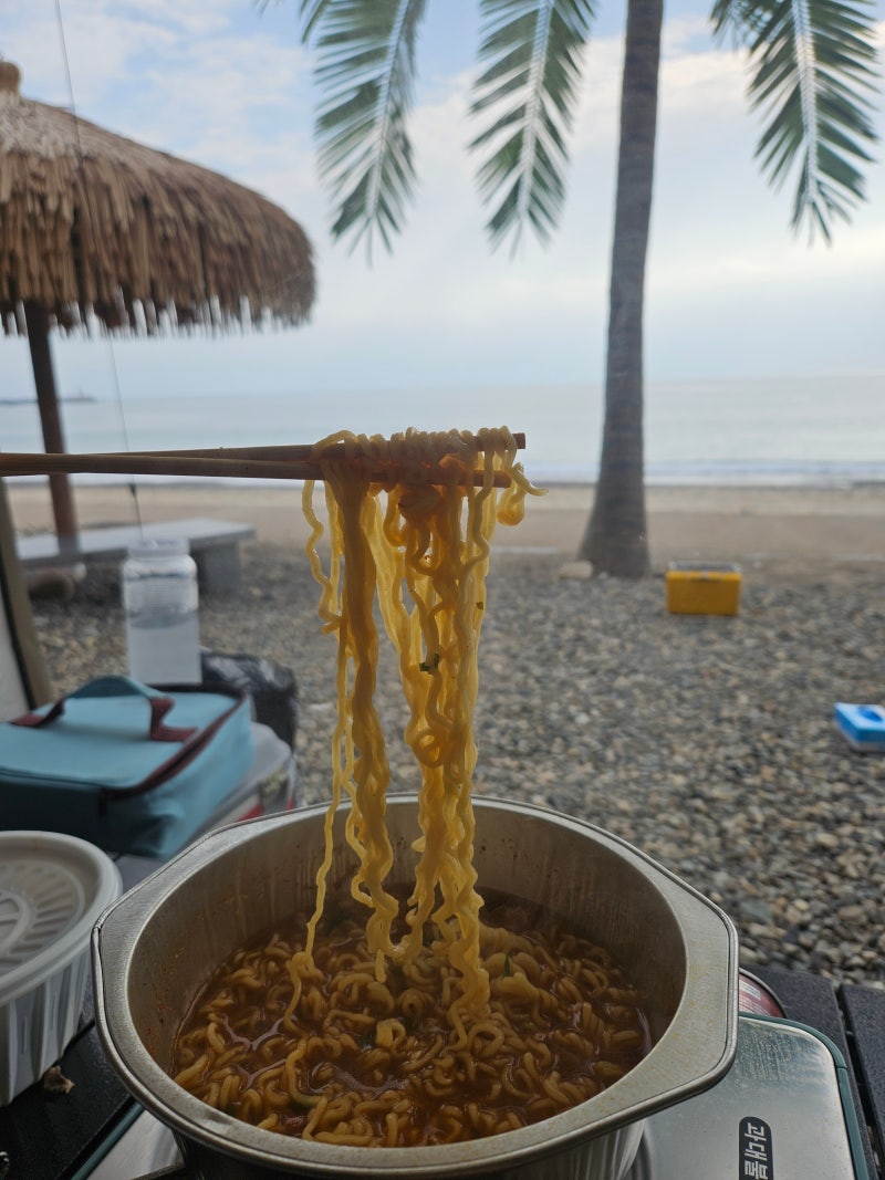 부산근교 경주 관성솔밭해변 노지캠핑장 먹으러 다녀온 후기