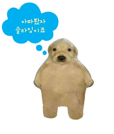 322 슬라임 구매 후기