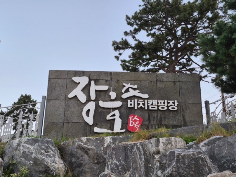 삼척 장호비치캠핑장 D10