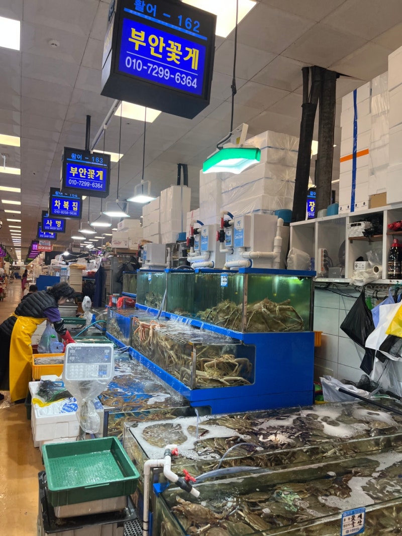 [일상] 제철 꽃게찜 / 노량진 수산시장 / 부안꽃게 / 시세 / 찜비 / 새우소금구이