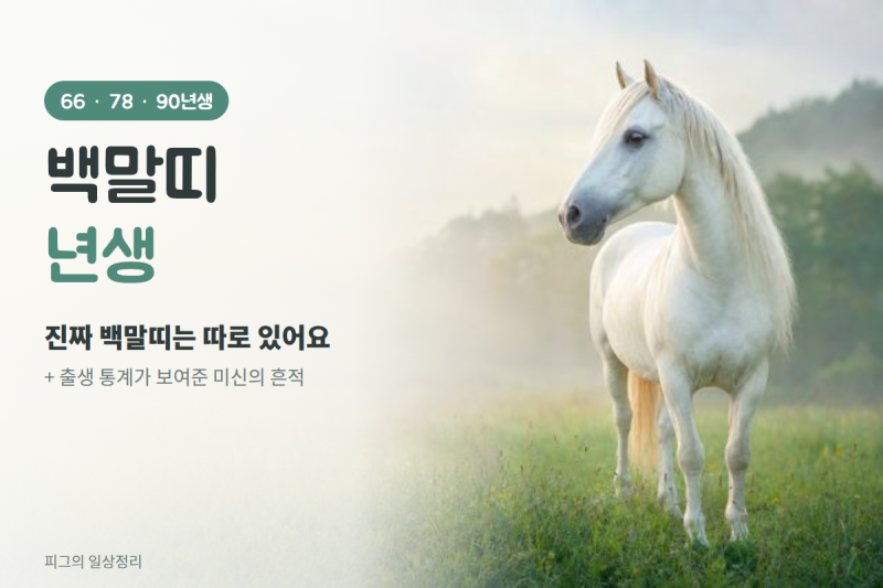 백말띠 년생 66년생 78년생 90년생 중 진짜 백말띠는 따로 있어요