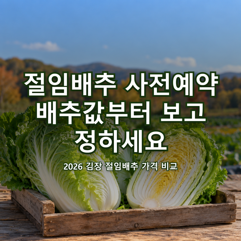 절임배추 사전예약 "지금 안 하면 비싸져?" 배추값 8천원대·20kg 가격 차이